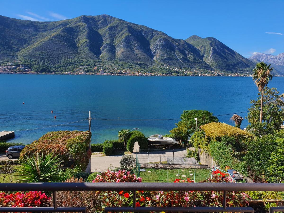 La Grande Apartments Kotor Buitenkant foto