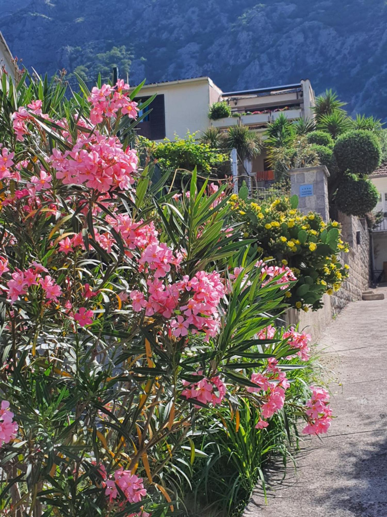 La Grande Apartments Kotor Buitenkant foto